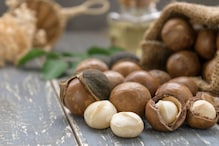 Macadamia Nuts: A Nutritional Marvel Making Waves in India