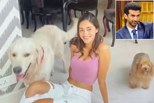 Aditya Roy Kapur Fails to Recognise Ananya Panday's Dogs on 'KWK', Internet Raises a Red Flag (Photo Credits: X)