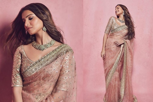 Tara opted for a pink organza-sequin work saree. (Images: Instagram)