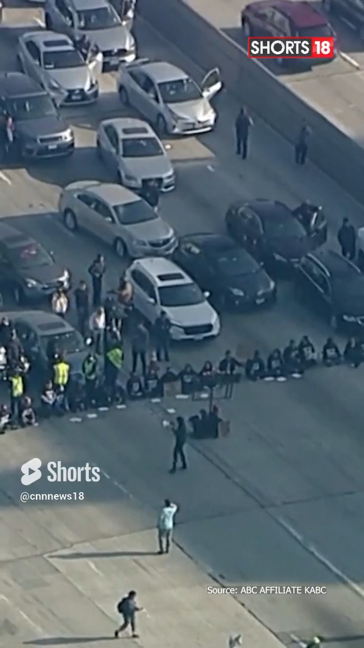 Pro-Palestinian activists in Los Angeles stage road protest shut down major freeway for hours